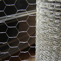Electronic Galvanized Hex Wire Netting